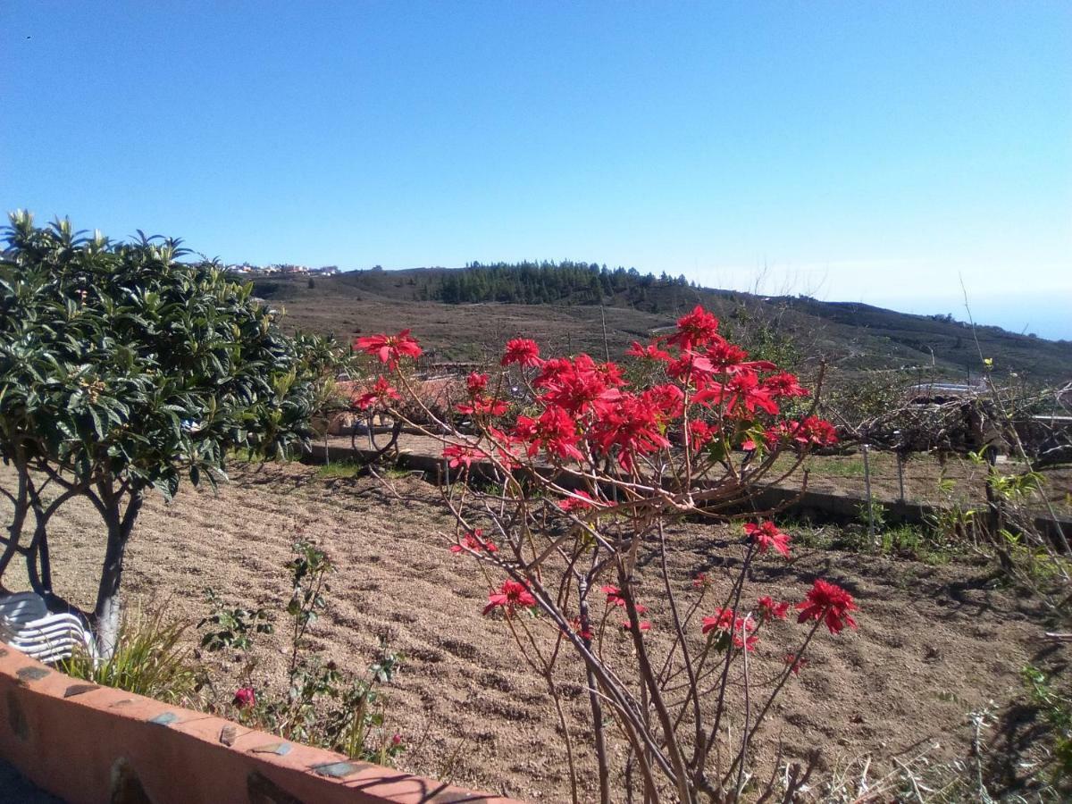 Casa De Abuelos Holiday home *
